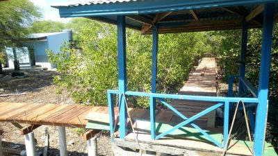 Renovasi Jembatan Ekowisata Mangrove Mencapai 40%
