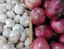 Harga Komoditi Bawang Merah di Pasar Inpres Naikoten Mulai Naik