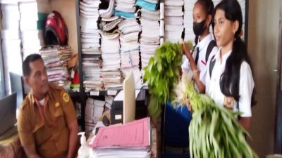 Panen Kegiatan P5 Siswa SMP 5 Kupang Jualan Sayur