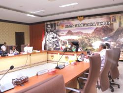 Penjabat Gubernur NTT Pimpin Acara High Level Meeting (HLM) Tim Pengendali Inflasi Daerah (TPID) Provinsi NTT