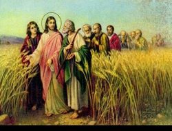 Mati untuk Menghasilkan Kehidupan: Kebenaran dalam Kematian (Yohanes 12: 20-33)