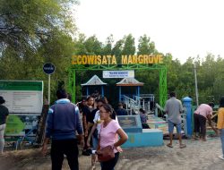 Pemerintah Kota Kupang Membersihkan Sampah di Ekowisata Mangrove