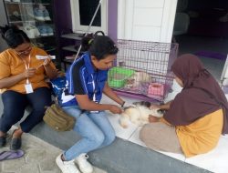Vaksinasi Rabies Gratis di Kota Kupang