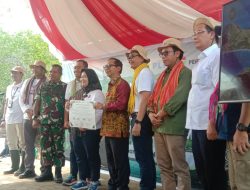 Penanaman Mangrove Peringati Hari Bhakti Rimbawan Ke-41