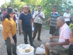 Penjabat Bupati Kupang Alexon Lumba Pantau Aktifitas Pasar Lili