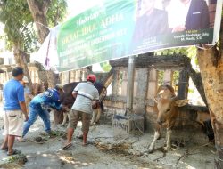 Rayakan Idul Adha, Berkurban dengan Damai
