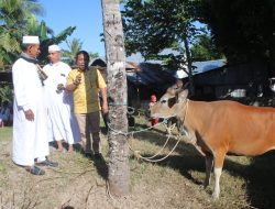 Pemkab Kupang Serahkan Hewan Kurban di Masjid Nurul Jihad dan Babussalam di Idul Adha 1445 H