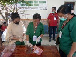 Kota Kupang Siap Hewan Kurban Sehat untuk Idul Adha