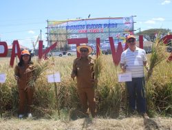 Petani Sejahtera dari Pak Tiwi 2