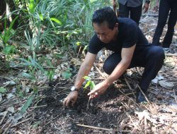 Pj.Bupati Menanam Pohon di Lokasi Sumber Mata Air Baumata