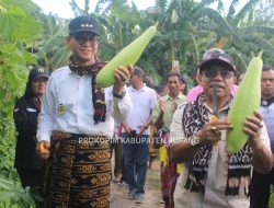 Kunker Pj. Gubernur NTT dalam Rangka Membagun Ketahanan Pangan dan Usaha Pertanian di Kab. Kupang