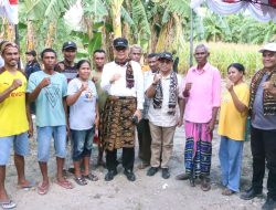 Pj. Gubernur Andriko Susanto Serahkan Bantuan bagi Petani usai Menanam Tomat dan Panen Bersama Berbagai Komoditas Pertanian di Kelurahan Merdeka