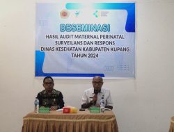 Upaya Strategis Pemkab Kupang Turunkan  Angka Kematian Ibu dan Bayi Melalui Audit Maternal Perinatal Surveilans Respon