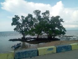 Liburan Akhir Tahun di Pantai Paradiso