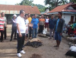 Bupati dan Wakil Bupati Kupang Sidak Pasar Lili