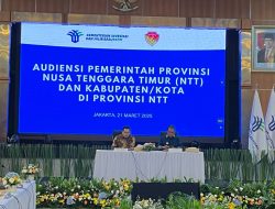 Gubernur Melki Laka Lena Dorong NTT Jadi Magnet Investasi, Gugus Tugas Siap Dibentuk