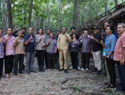 Wagub NTT Johni Asadoma Tinjau Lokasi Wisata Hutan Oeluan