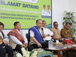 Kunker ke NTT, Menteri Koperasi Tinjau Dua KopDes Merah Putih, Laksanakan Ground Breaking KSP TLM Hingga Tutup RAT KSP TLM Indonesia