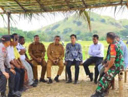 Percepat Realisasi Swasembada Pangan, Wapres Gibran Rakabuming Didampingi Gubernur NTT Serap Aspirasi Petani Desa Kolisia, Kabupaten Sikka