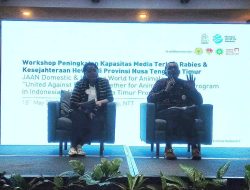 Kesejahteraan Hewan dan Edukasi Rabies Masuk Agenda Utama NTT 2025