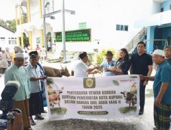 Pemkot Kupang Salurkan Hewan Kurban, Serena Francis Tegaskan Komitmen Sosial
