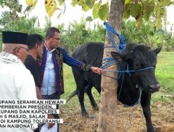 Bupati Kupang Serahkan Hewan Kurban di Hari Raya Idul Adha 1446 H