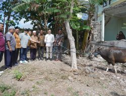 Meriahkan Idul Adha 1446 H, Pemkot Kupang Serahkan 16 Hewan Kurban