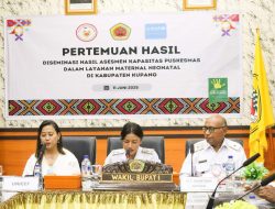 Wabup Aurum Titu Eki Ajak Kerja Kolaborasi Memerangi Angka Kematian Ibu dan Anak