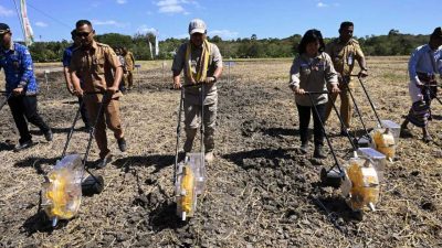Peduli Pertanian, Bupati Kupang Terus Galakkan Ketahanan Pangan di Kabupaten Kupang