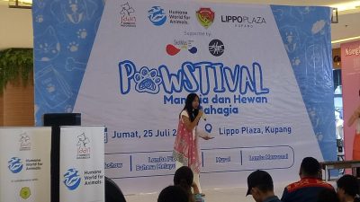 Anak-anak Kota Kupang Belajar Peduli Hewan Lewat Lomba