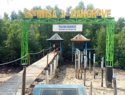 Jembatan Putus, Ekowisata Mangrove Oesapa Barat Sepi Pengunjung
