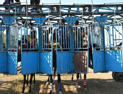 Bupati Kupang Hadiri Pembukaan  Kejuaraan Berkuda Kapolda Cup Tahun 2025 di Gelora Lifubatu Babau