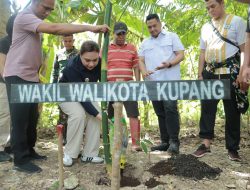 Penanaman Pohon Bersama Warga, Wawali Tekankan Komitmen Pengelolaan DAS Liliba dan Mitigasi Longsor