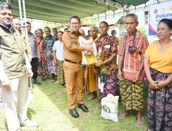 Bupati Kupang Launching Penyaluran  Bantuan Pangan di Amabi Oefeto Timur