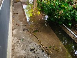 Luapan Air Kembali Terjadi di SDN Oeba 3, Sekolah Minta Perhatian Pengelola RPH