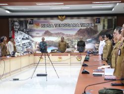 Pemprov NTT dan Kementerian P2MI Perkuat Tata Kelola Perlindungan PMI dari Hulu ke Hilir