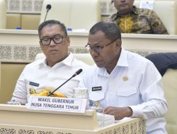 Hadiri Raker dan RDP Panitia Kerja Perbatasan Negara Komisi II DPR RI, Wagub NTT Tekankan Pembangunan Kawasan Perbatasan