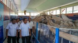 Kunjungi UPTD Museum Daerah, Gubernur Melki Dorong Penguatan Fungsi Edukasi dan Literasi Budaya