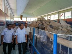 Kunjungi UPTD Museum Daerah, Gubernur Melki Dorong Penguatan Fungsi Edukasi dan Literasi Budaya