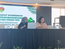 1,7 Juta Hektare Hutan NTT “Belum Maksimal”, Kadis Soroti Konflik dan Illegal Logging