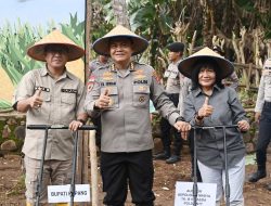 Bupati Kupang Hadiri Tanam Jagung Serentak Kuartal I 2026 yang digelar Polda NTT