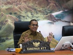 Gubernur NTT : “ASN Harus Jadi Pelita Harapan di Ruang Media Sosial”