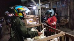 Stabilitas Harga Ayam Dipengaruhi Kondisi Pasar dan Kualitas Ternak