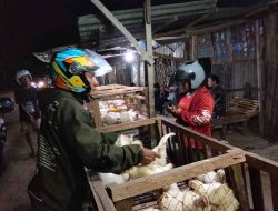 Stabilitas Harga Ayam Dipengaruhi Kondisi Pasar dan Kualitas Ternak