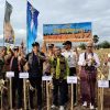 Panen Raya Jagung di Lapas Kupang Hasilkan 10 Ton, Siap Jadi Model Ketahanan Pangan NTT