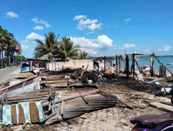 Si Jago Merah Porak-porandakan Kafe di Pantai Warna-Warni Oesapa