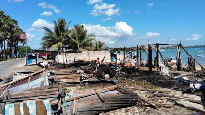 Si Jago Merah Porak-porandakan Kafe di Pantai Warna-Warni Oesapa