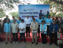 Jokowi Salurkan Bibit Unggul Rumput Laut untuk Lima Desa di Kabupaten Kupang
