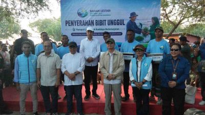 Jokowi Salurkan Bibit Unggul Rumput Laut untuk Lima Desa di Kabupaten Kupang