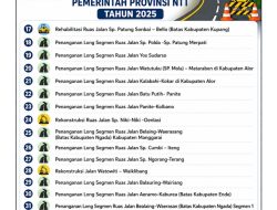Pemprov NTT Tuntaskan 32 Ruas Jalan Strategis, Perkuat Konektivitas Untuk Pemerataan Pembangunan dan Pertumbuhan Ekonomi